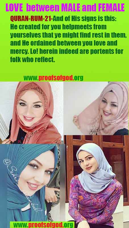 how to find god, what are proofs of god?, proofs of god, evidences of god, god-proofs, god-evidences, proofs-god, evidences-god, signs-god, god exists