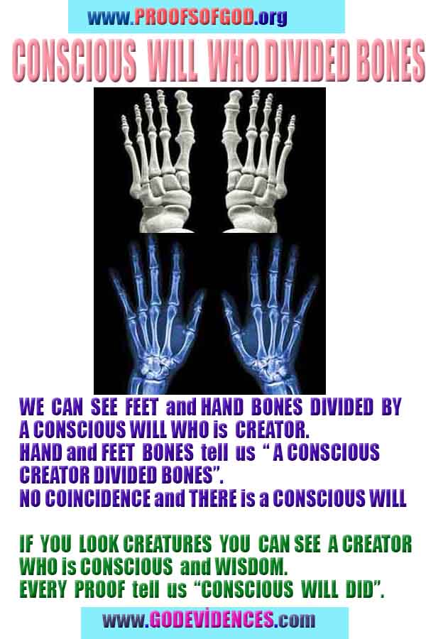 how to find god, what are proofs of god?, proofs of god, evidences of god, god-proofs, god-evidences, proofs-god, evidences-god, signs-god, god exists here proofs