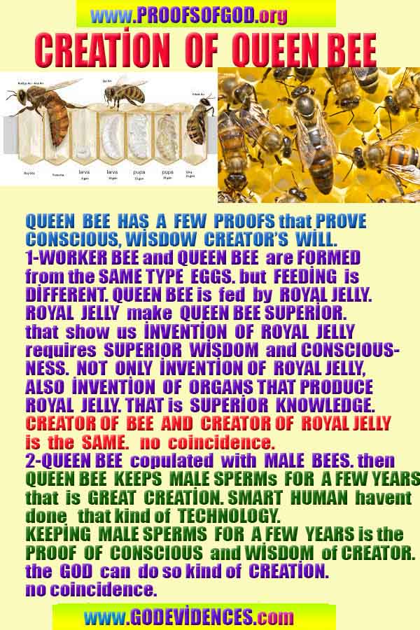 how to find god, what are proofs of god?, proofs of god, evidences of god, god-proofs, god-evidences, proofs-god, evidences-god, signs-god, god exists proofs