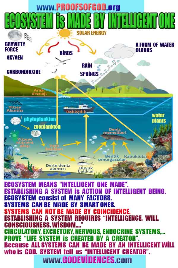 how to find god, what are proofs of god?, proofs of god, evidences of god, god-proofs, god-evidences, proofs-god, evidences-god, signs-god, god exists, god is real
