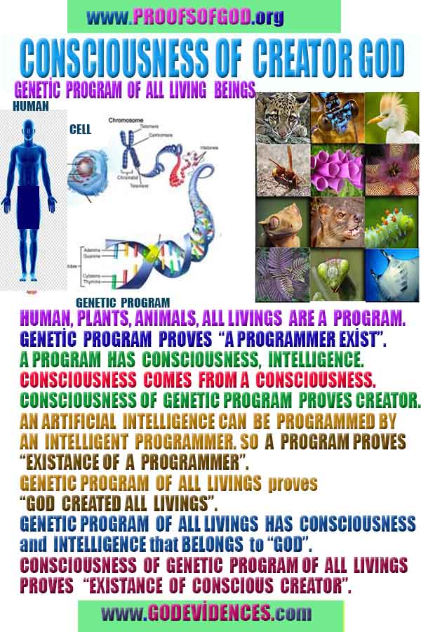 how to find god, what are proofs of god?, proofs of god, evidences of god, god-proofs, god-evidences, proofs-god, evidences-god, signs-god, god exists