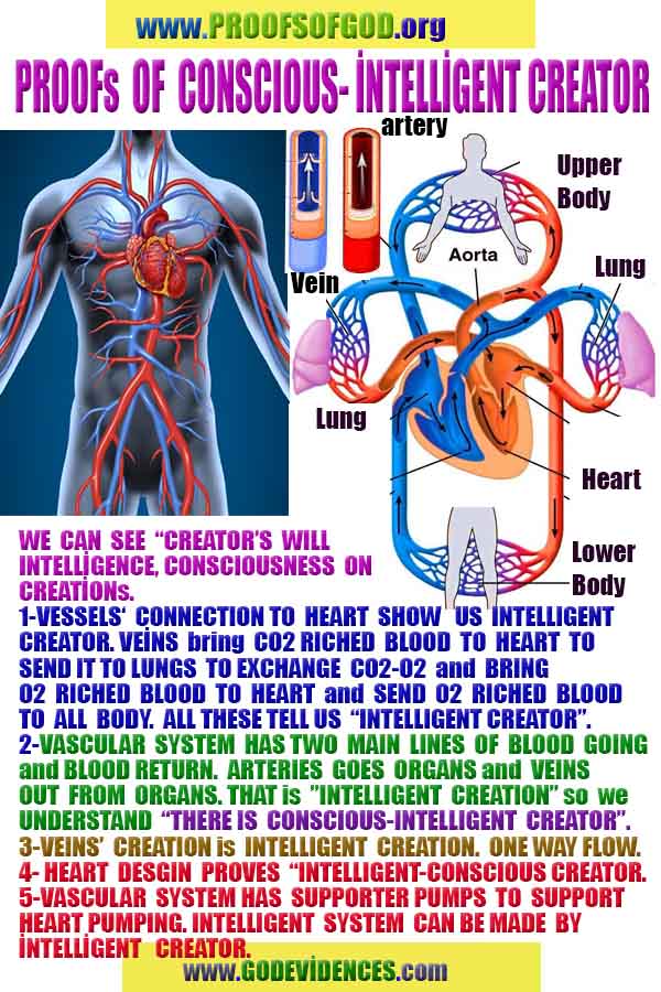 how to find god, what are proofs of god?, proofs of god, evidences of god, god-proofs, god-evidences, proofs-god, evidences-god, signs-god, god exists