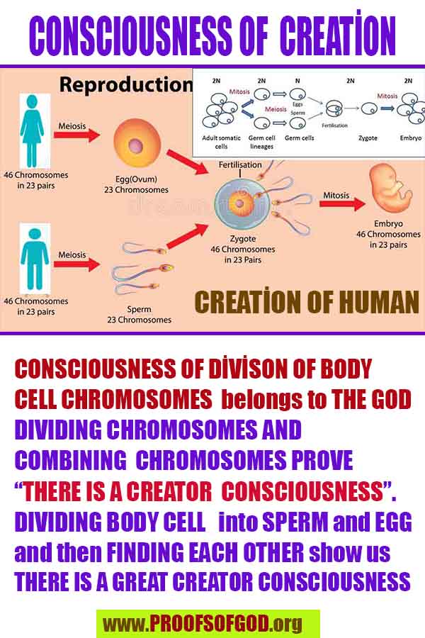 how to find god, what are proofs of god?, proofs of god, evidences of god, god-proofs, god-evidences, proofs-god, evidences-god, signs-god, god exists proofs