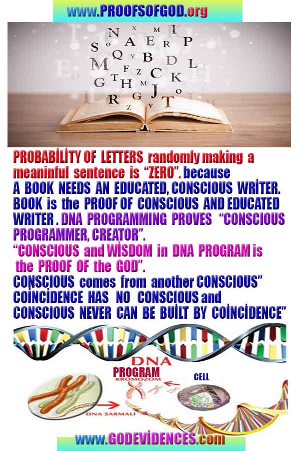 how to find god, what are proofs of god?, proofs of god, evidences of god, god-proofs, god-evidences, proofs-god, evidences-god, signs-god, god exists