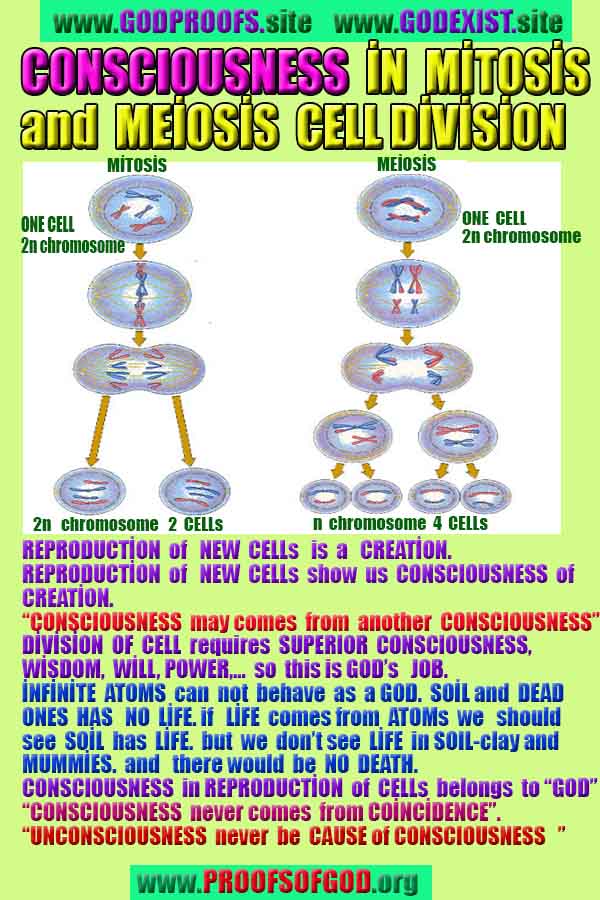 how to find god, what are proofs of god?, proofs of god, evidences of god, god-proofs, god-evidences, proofs-god, evidences-god, signs-god, god exists