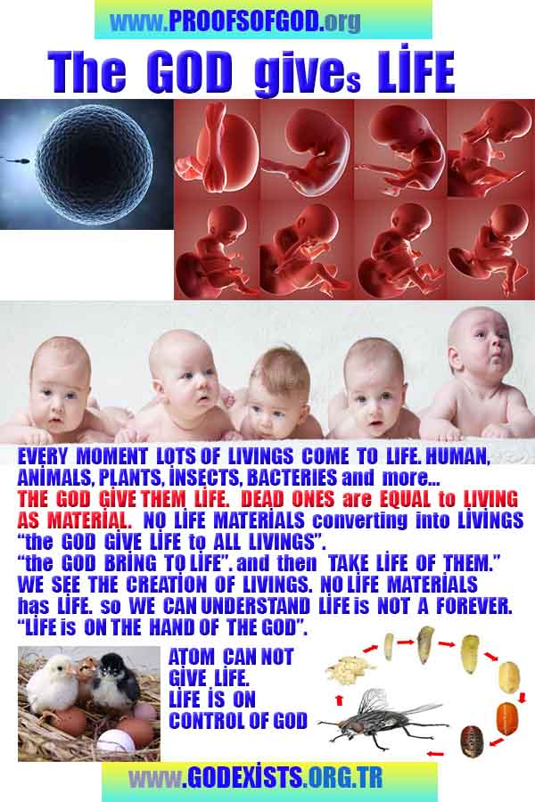 how to find god, what are proofs of god?, proofs of god, evidences of god, god-proofs, god-evidences, proofs-god, evidences-god, signs-god, god exists, god is real