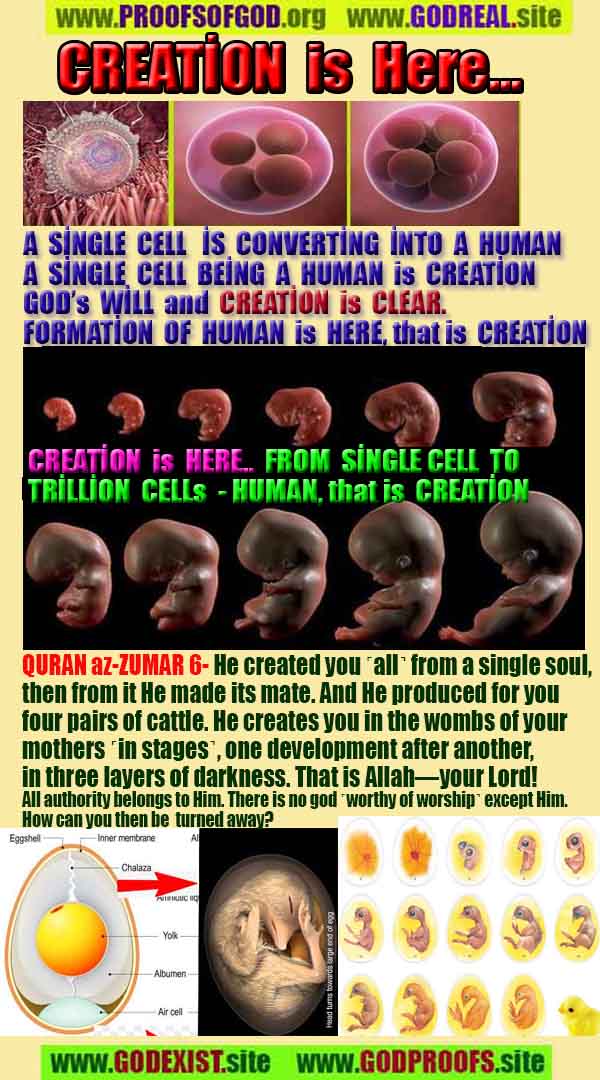 how to find god, what are proofs of god?, proofs of god, evidences of god, god-proofs, god-evidences, proofs-god, evidences-god, signs-god