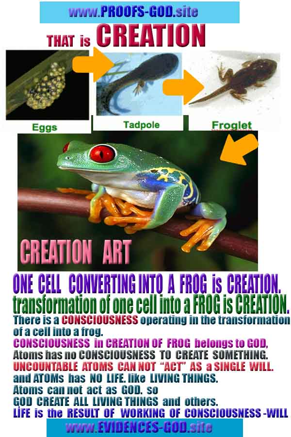 how to find god, what are proofs of god?, proofs of god, evidences of god, god-proofs, god-evidences, proofs-god, evidences-god, signs-god, god exists