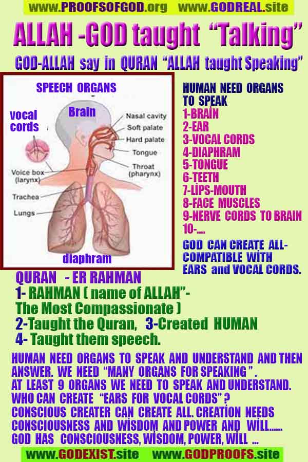 how to find god, what are proofs of god?, proofs of god, evidences of god, god-proofs, god-evidences, proofs-god, evidences-god, signs-god, god exists