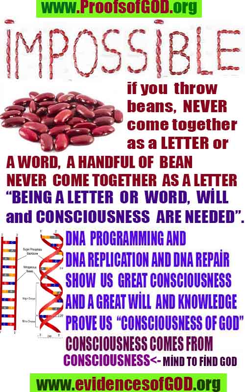 how to find god, what are proofs of god?, proofs of god, evidences of god, god-proofs, god-evidences, proofs-god, evidences-god, signs-god, god exists here proofs