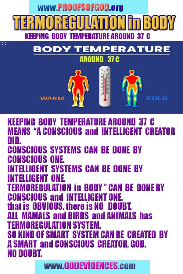 how to find god, what are proofs of god?, proofs of god, evidences of god, god-proofs, god-evidences, proofs-god, evidences-god, signs-god, god exists