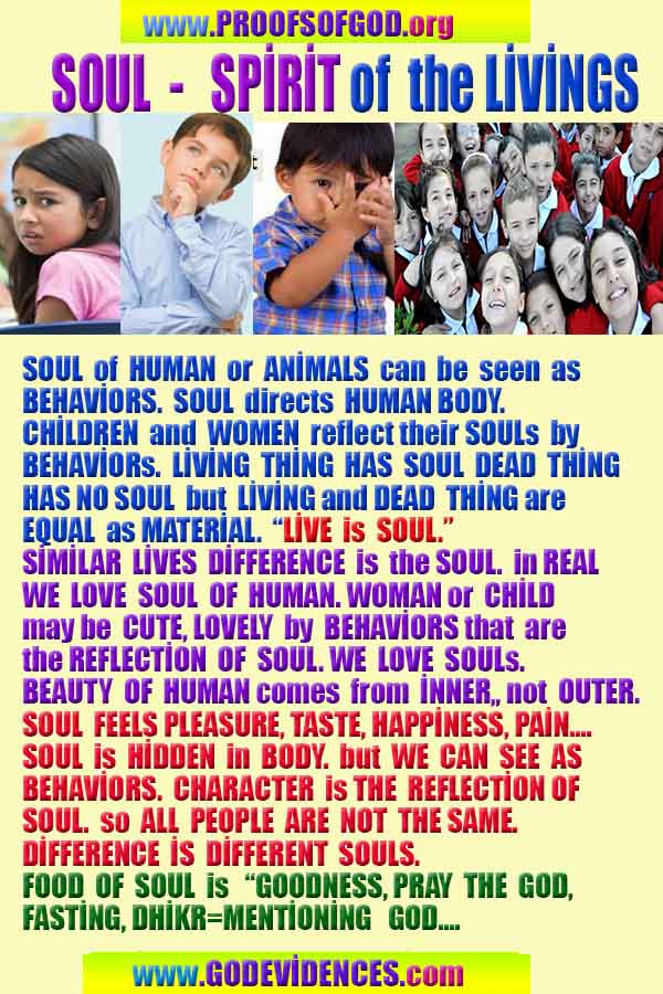 how to find god, what are proofs of god?, proofs of god, evidences of god, god-proofs, god-evidences, proofs-god, evidences-god, signs-god