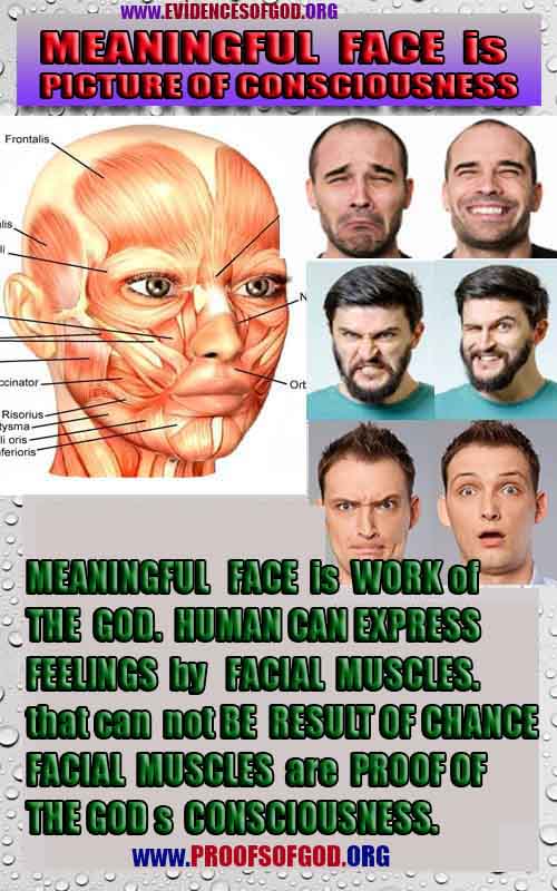 how to find god, what are proofs of god?, proofs of god, evidences of god, god-proofs, god-evidences, proofs-god, evidences-god, signs-god, god exists here proofs