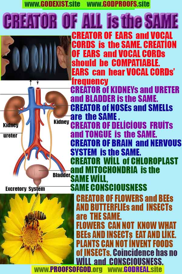 how to find god, what are proofs of god?, proofs of god, evidences of god, god-proofs, god-evidences, proofs-god, evidences-god, signs-god