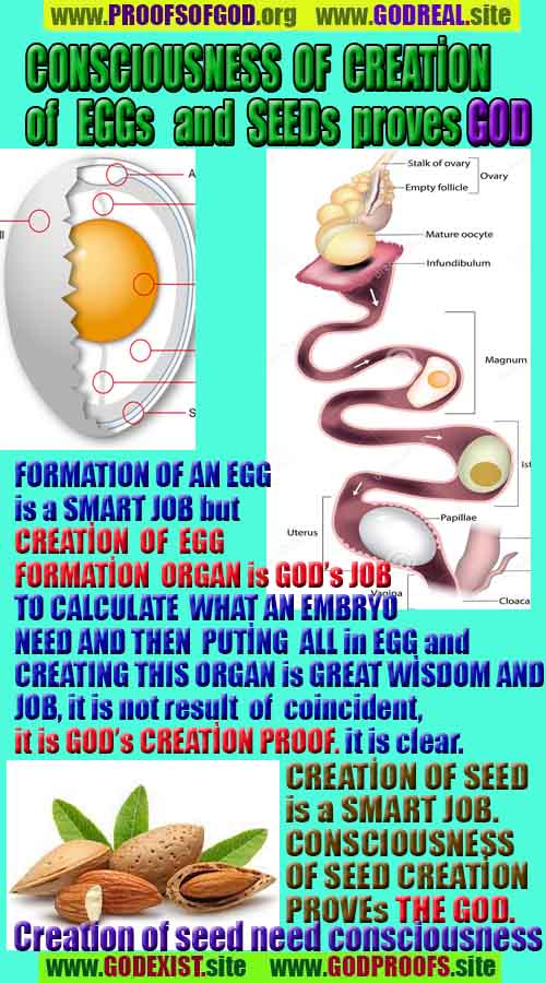 how to find god, what are proofs of god?, proofs of god, evidences of god, god-proofs, god-evidences, proofs-god, evidences-god