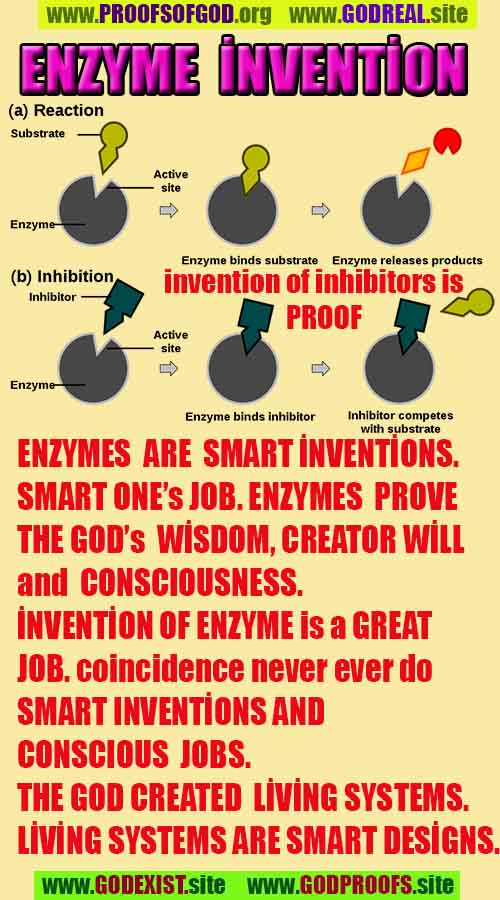 how to find god, what are proofs of god?, proofs of god, evidences of god, god-proofs, god-evidences, proofs-god, evidences-god, signs-god, god exists