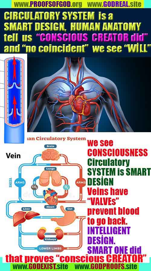 how to find god, what are proofs of god?, proofs of god, evidences of god, god-proofs, god-evidences, proofs-god, evidences-god, signs-god, god exists proofs