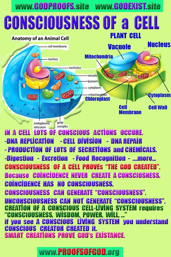 how to find god, what are proofs of god?, proofs of god, evidences of god, god-proofs, god-evidences, proofs-god, evidences-god, signs-god, god exists