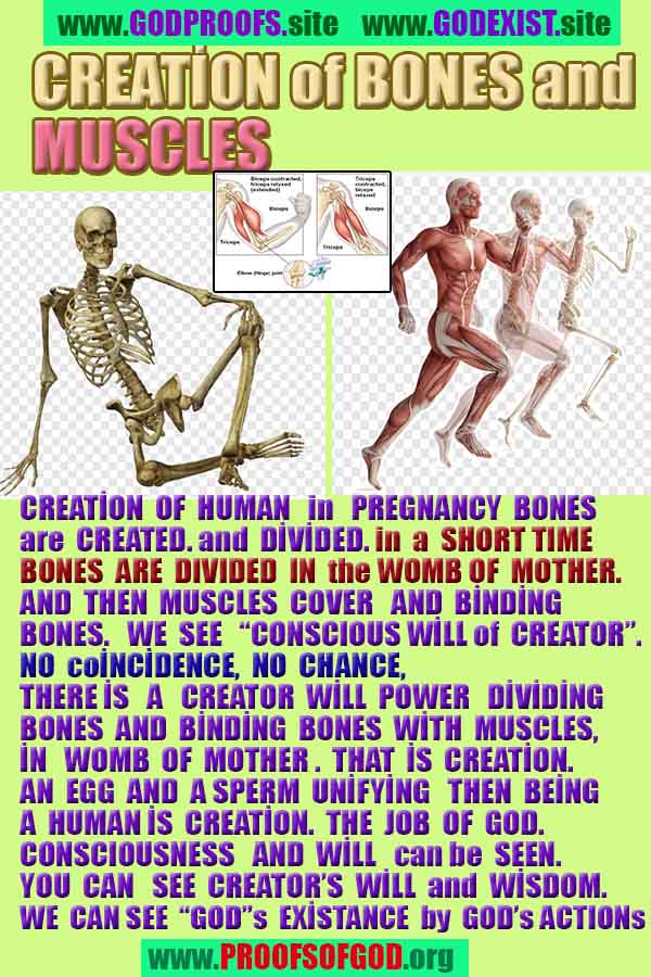 how to find god, what are proofs of god?, proofs of god, evidences of god, god-proofs, god-evidences, proofs-god, evidences-god, signs-god, god exists, god is real