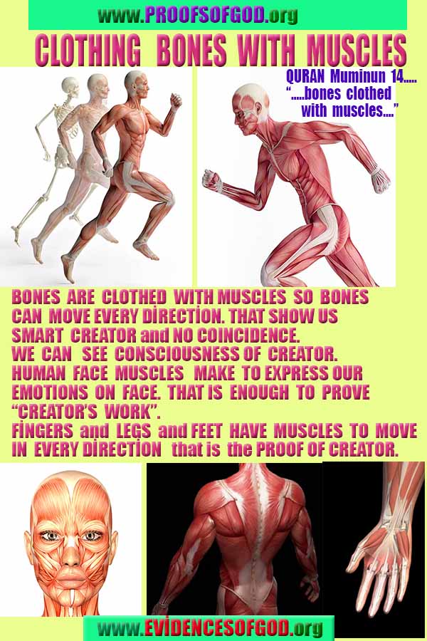 how to find god, what are proofs of god?, proofs of god, evidences of god, god-proofs, god-evidences, proofs-god, evidences-god, signs-god