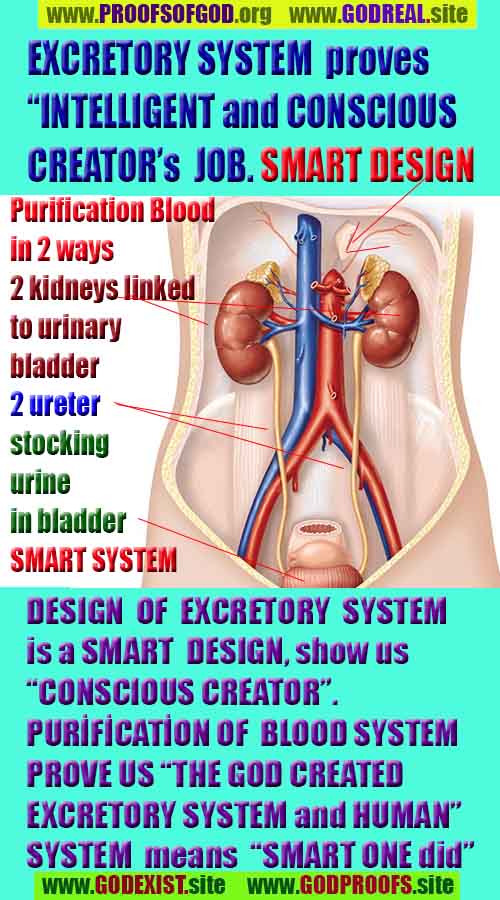 how to find god, what are proofs of god?, proofs of god, evidences of god, god-proofs, god-evidences, proofs-god, evidences-god, signs-god, god exists