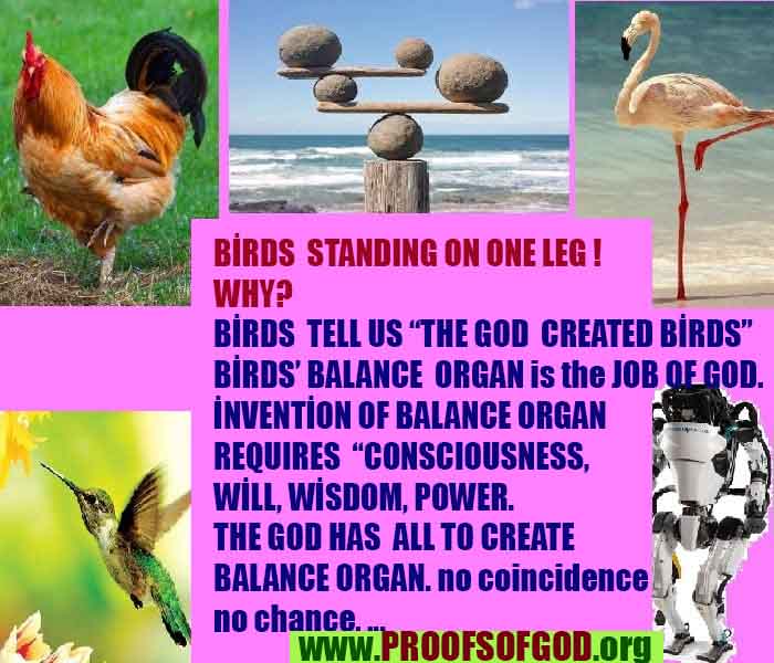 how to find god, what are proofs of god?, proofs of god, evidences of god, god-proofs, god-evidences, proofs-god, evidences-god