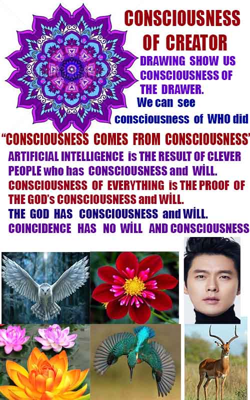 how to find god, what are proofs of god?, proofs of god, evidences of god, god-proofs, god-evidences, proofs-god, evidences-god, signs-god, god exists