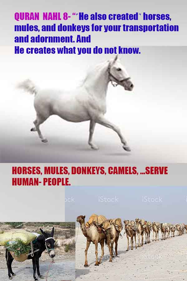 how to find god, what are proofs of god?, proofs of god, evidences of god, god-proofs, god-evidences, proofs-god, evidences-god, signs-god, god exists proofs