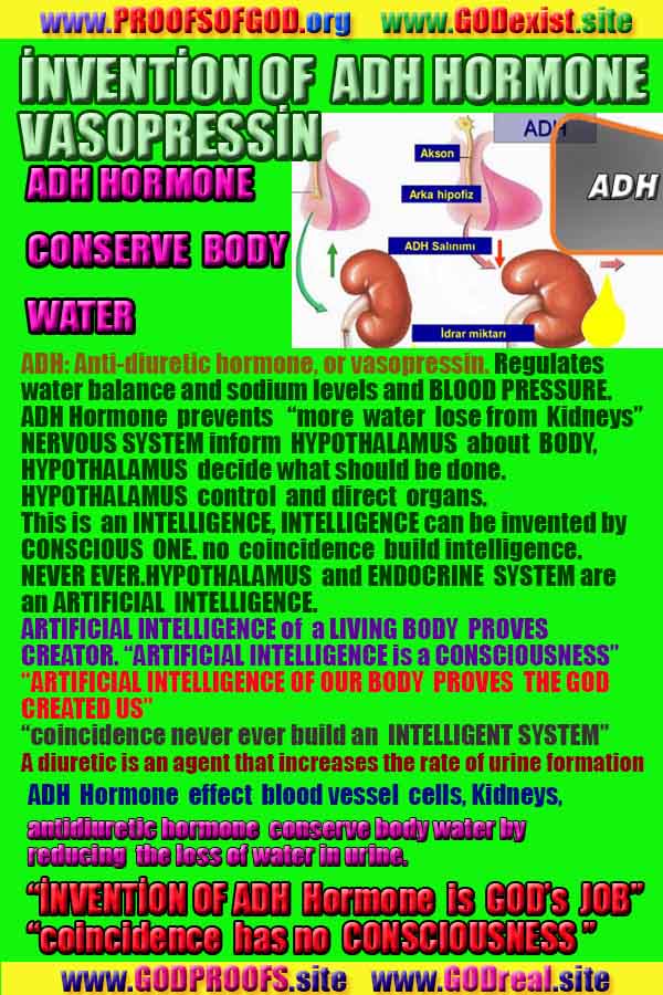 how to find god, what are proofs of god?, proofs of god, evidences of god, god-proofs, god-evidences, proofs-god, evidences-god, signs-god, god exists, god is real