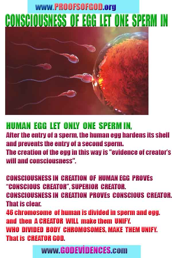 how to find god, what are proofs of god?, proofs of god, evidences of god, god-proofs, god-evidences, proofs-god, evidences-god, signs-god