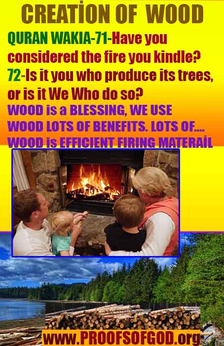 how to find god, what are proofs of god?, proofs of god, evidences of god, god-proofs, god-evidences, proofs-god, evidences-god, signs-god, god exists here proofs