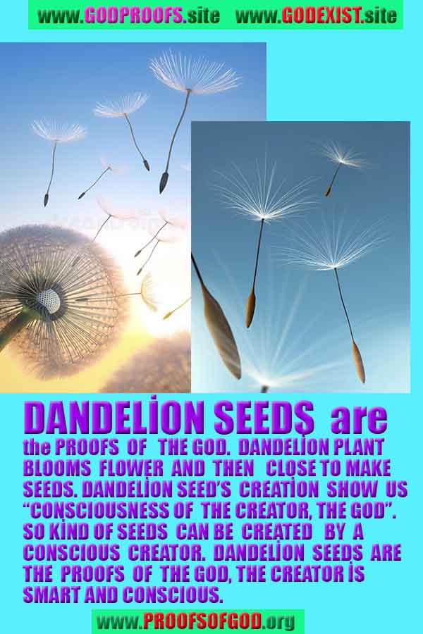 how to find god, what are proofs of god?, proofs of god, evidences of god, god-proofs, god-evidences, proofs-god, evidences-god, signs-god, god exists