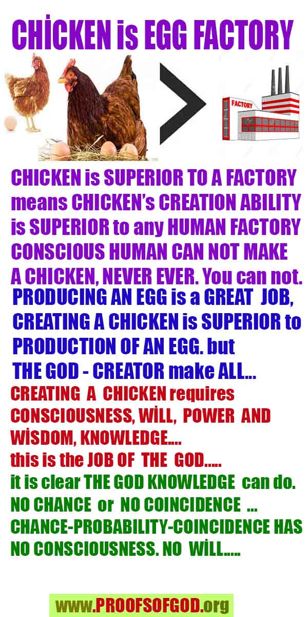 how to find god, what are proofs of god?, proofs of god, evidences of god, god-proofs, god-evidences, proofs-god, evidences-god