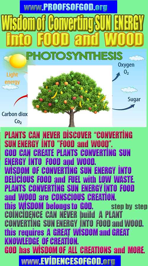 how to find god, what are proofs of god?, proofs of god, evidences of god, god-proofs, god-evidences, proofs-god, evidences-god, signs-god, god exists