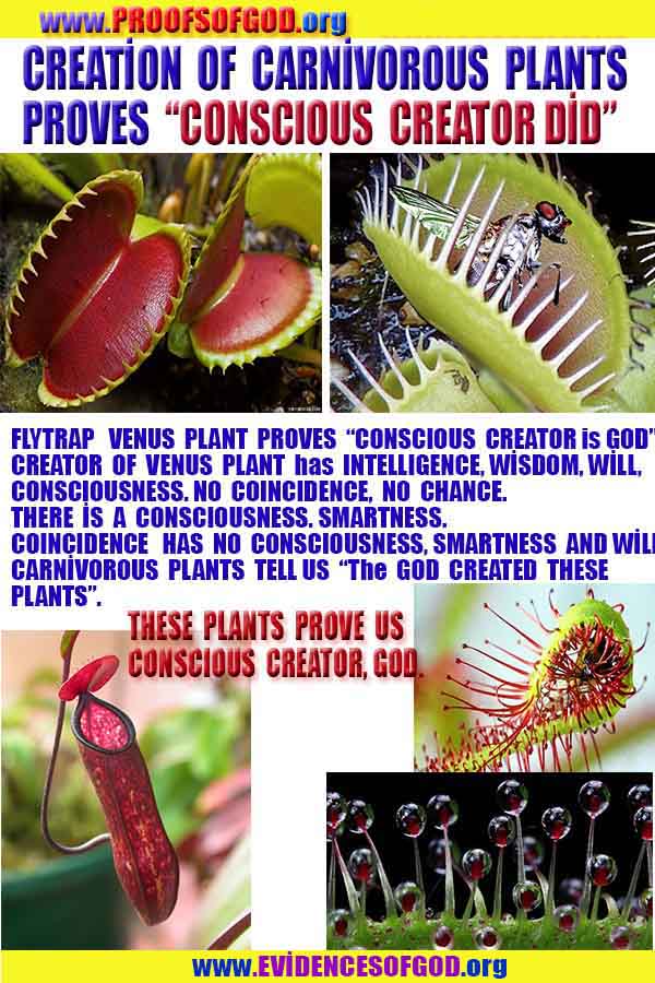 how to find god, what are proofs of god?, proofs of god, evidences of god, god-proofs, god-evidences, proofs-god, evidences-god