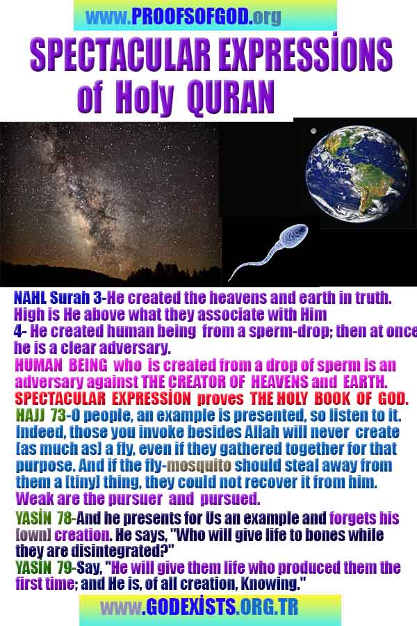 how to find god, what are proofs of god?, proofs of god, evidences of god, god-proofs, god-evidences, proofs-god, evidences-god, signs-god, god exists