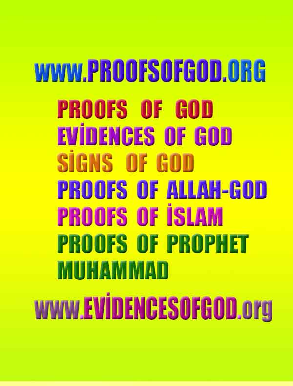 how to find god, what are proofs of god?, proofs of god, evidences of god, god-proofs, god-evidences, proofs-god, evidences-god, signs-god
