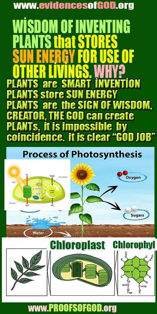 how to find god, what are proofs of god?, proofs of god, evidences of god, god-proofs, god-evidences, proofs-god, evidences-god