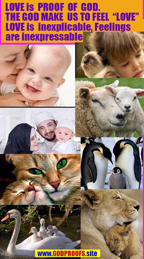 how to find god, what are proofs of god?, proofs of god, evidences of god, god-proofs, god-evidences, proofs-god, evidences-god, signs-god, god exists proofs