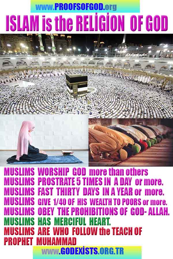 how to find god, what are proofs of god?, proofs of god, evidences of god, god-proofs, god-evidences, proofs-god, evidences-god, signs-god, god exists